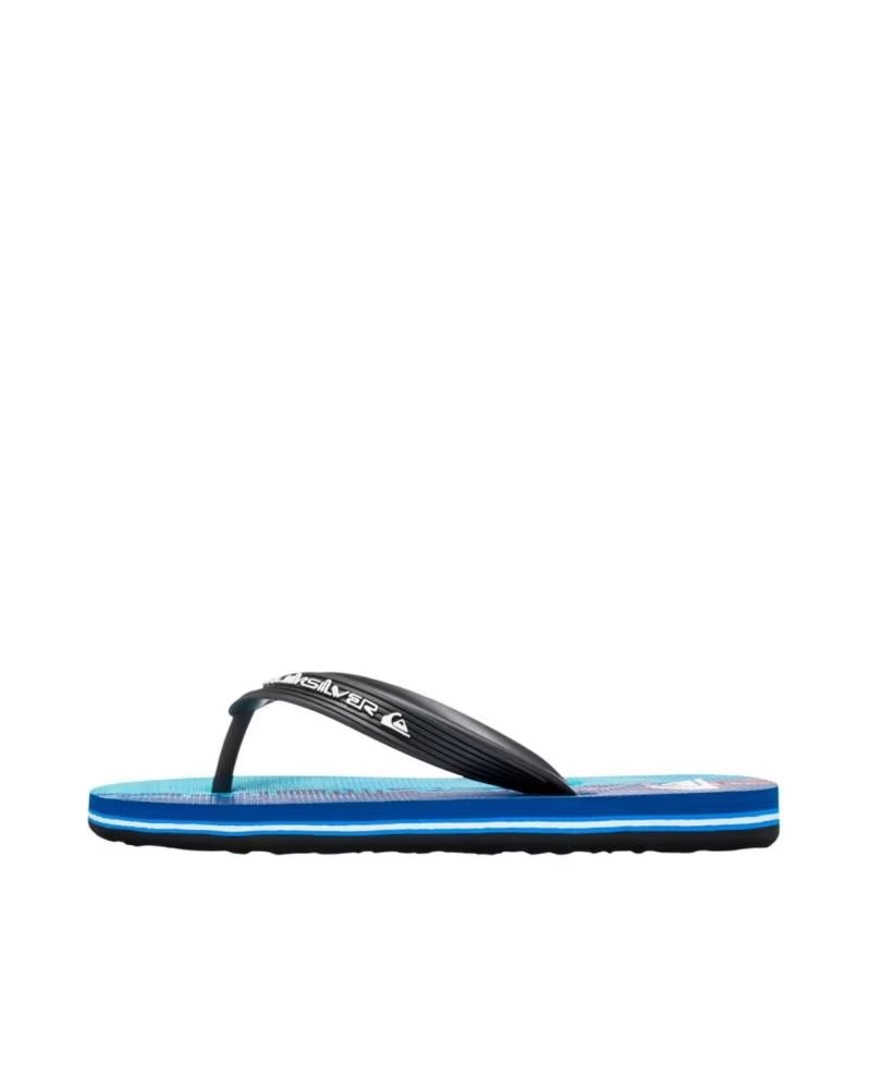 Chanclas Quicksilver Molokai Art 1000624-BQV Azules Azul