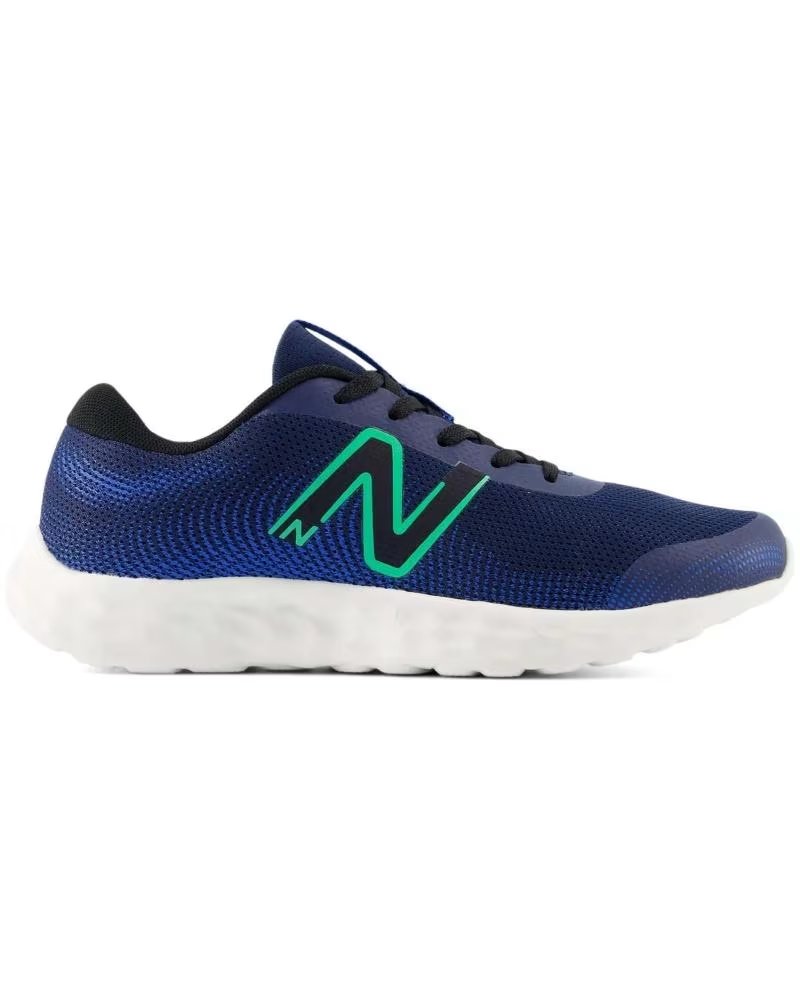 Zapatillas New Balance 520V8 Azul GP520RG8