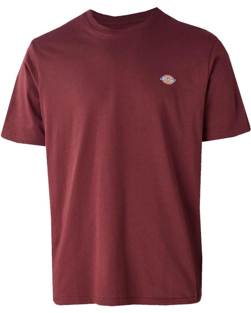 CAMISETA DICKIES MAPLETON SS ANDORRA NAN