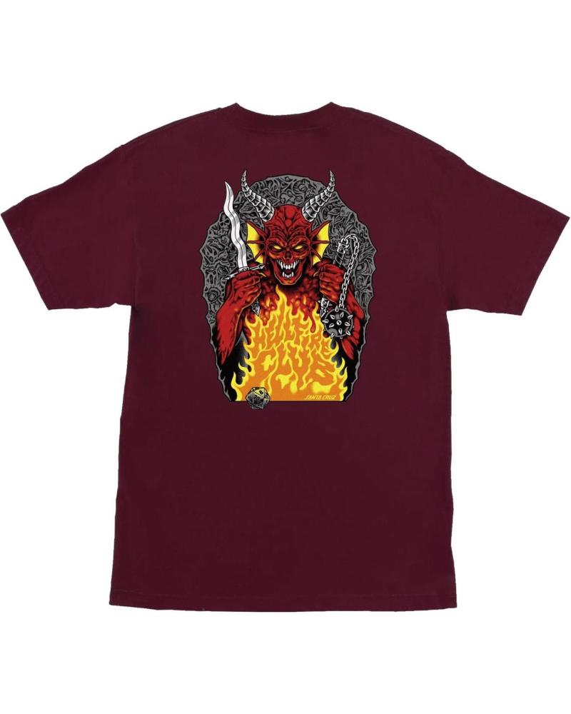 CAMISETA SANTA CRUZ X STRANGER THINGS HELLFIRE PIT HEAVYWEIGHT GRANATE NAN