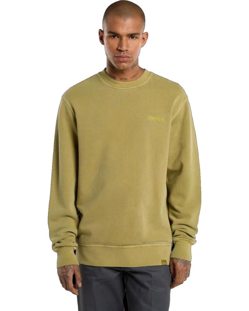 SUDADERA DICKIES PLENTYWOOD EVERGREEN SPRIG NAN NAN
