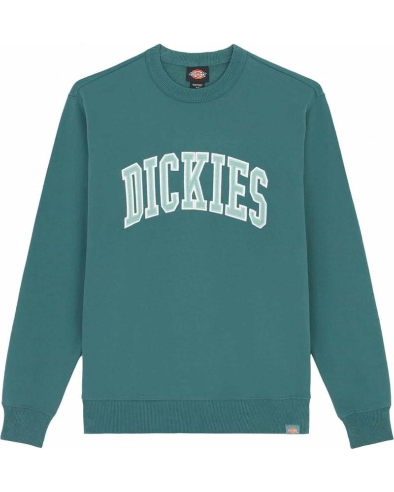 DICKIES SUDADERA DICKIES CON LOGO UNIVERSITARIO PARA HOMBRE VERDE