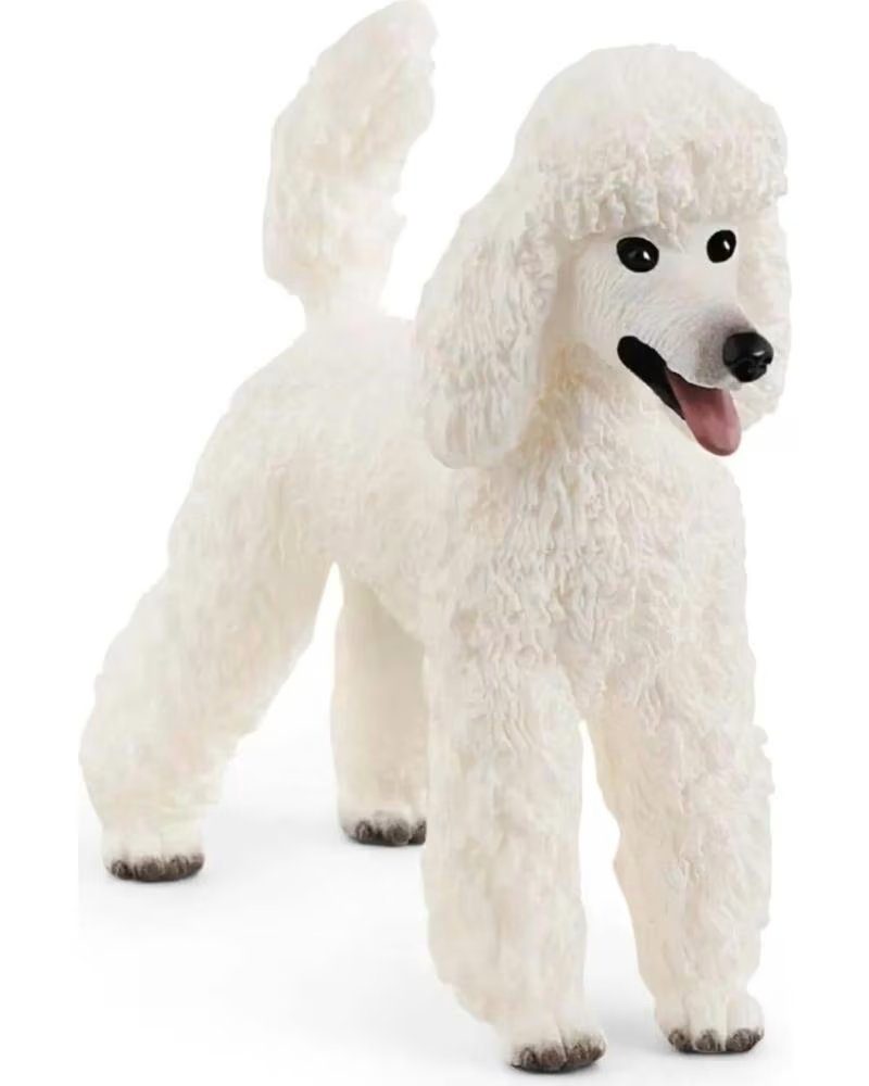 Figura Coleccionable Caniche Blanco Schleich 865690