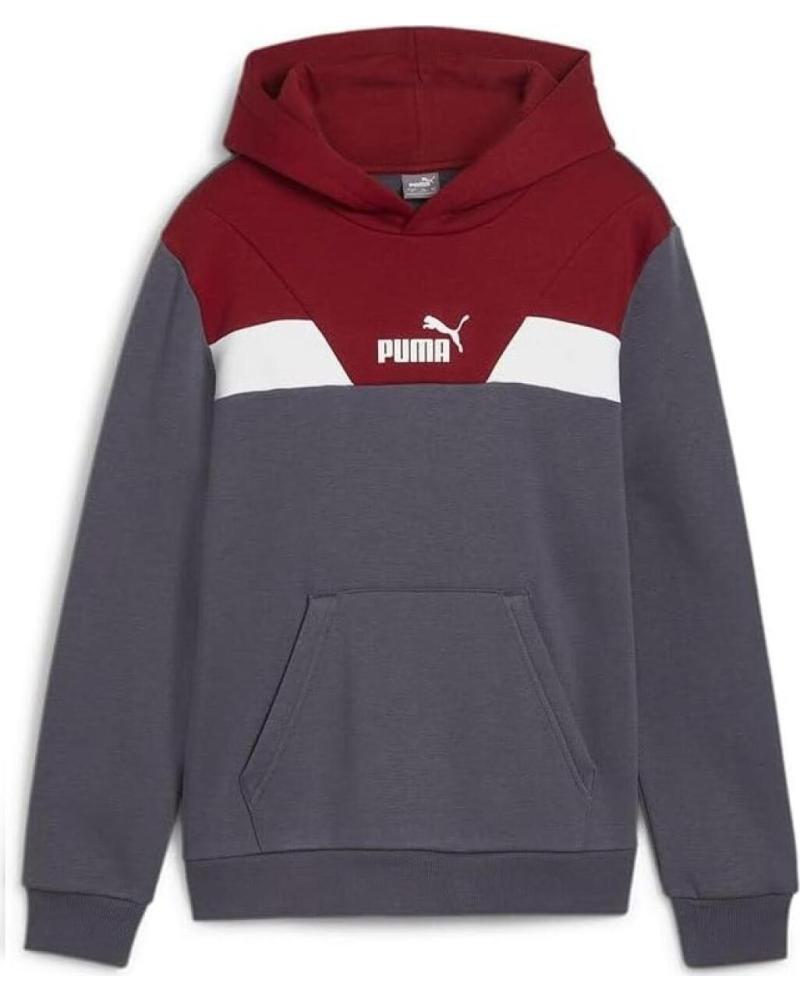 PUMA SUDADERA CON CAPUCHA POWER COLORBLOC VARIOS COLORES