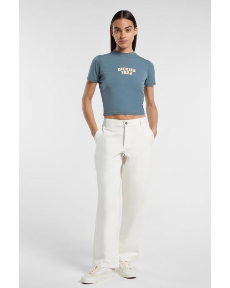 DICKIES CAMISETA DK0A4Z8F CENTER LOGO G701